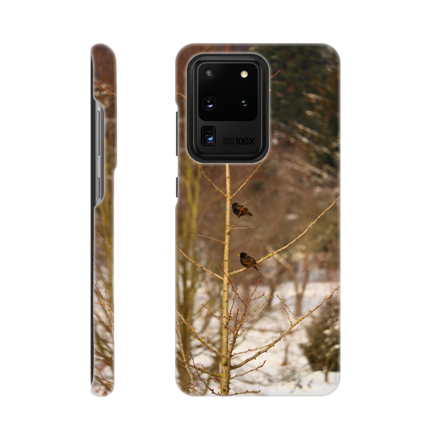 Feathered Winterday - Slim Phone Case - JDivine 