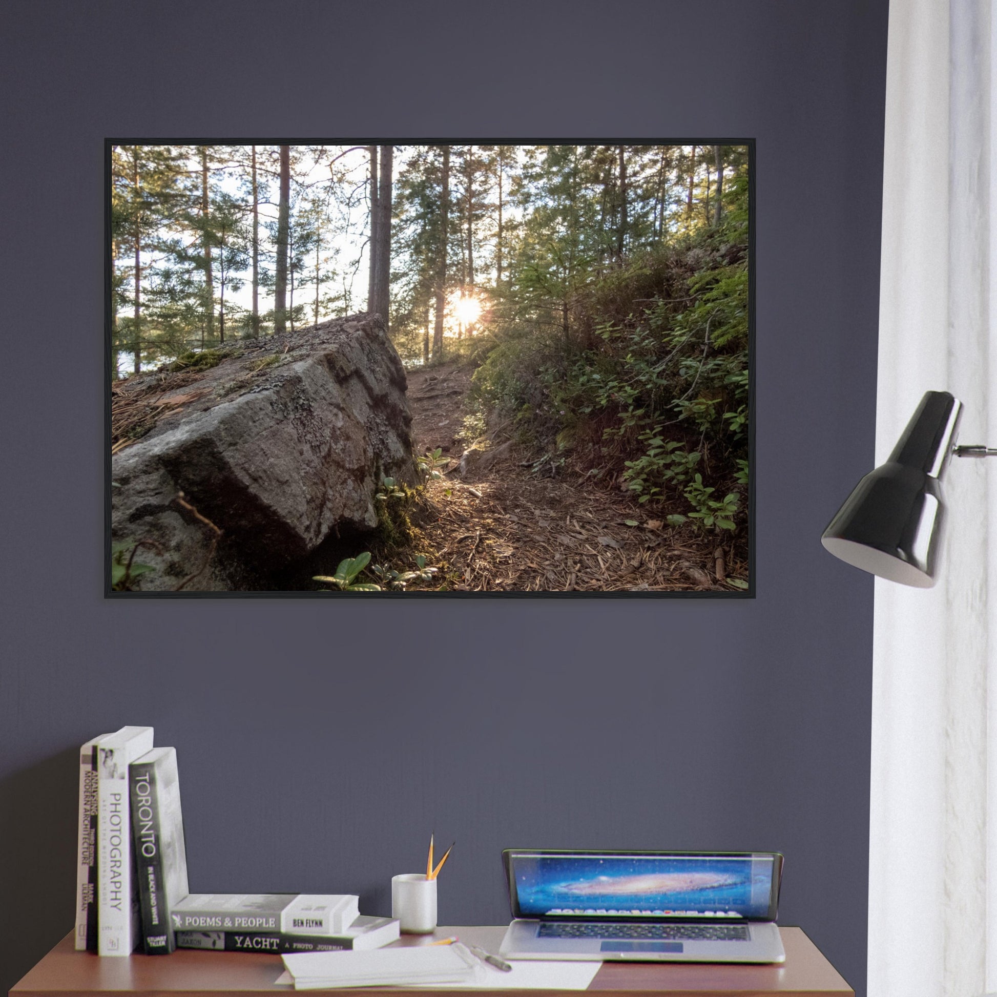 Forest Trail at Dawn - Framed Poster - JDivine 