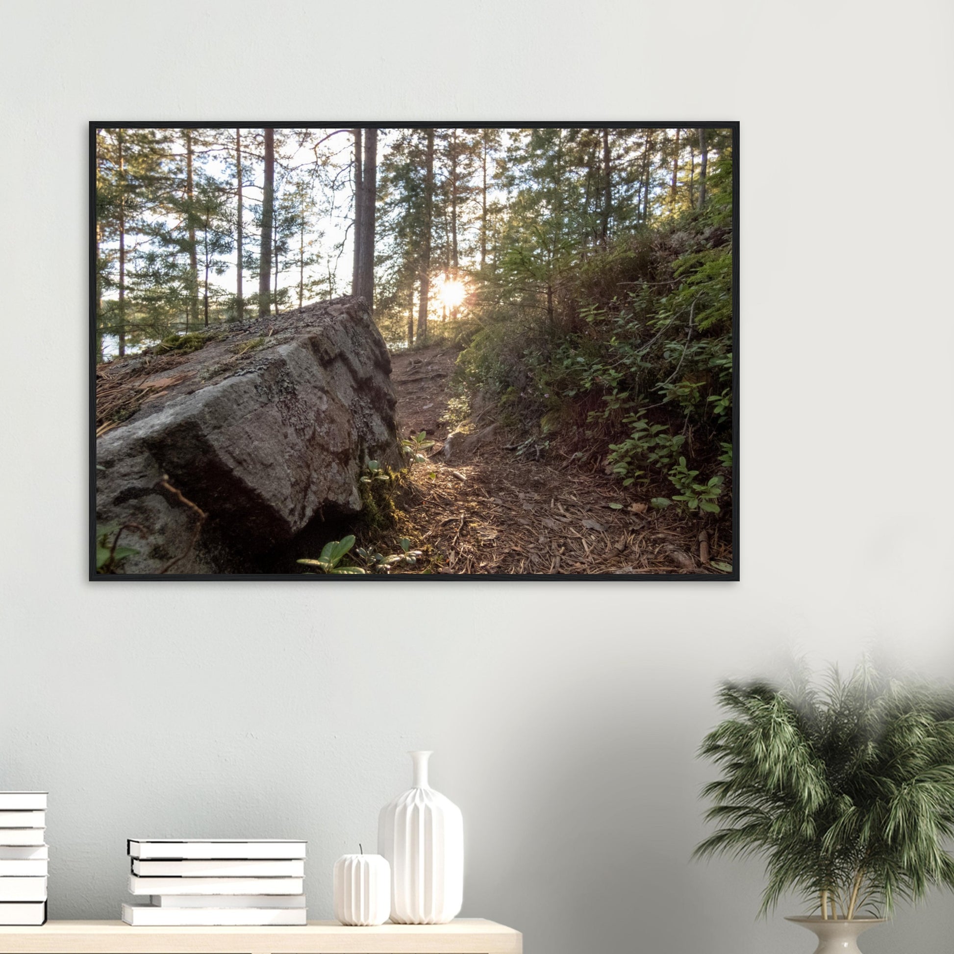 Forest Trail at Dawn - Framed Poster - JDivine 