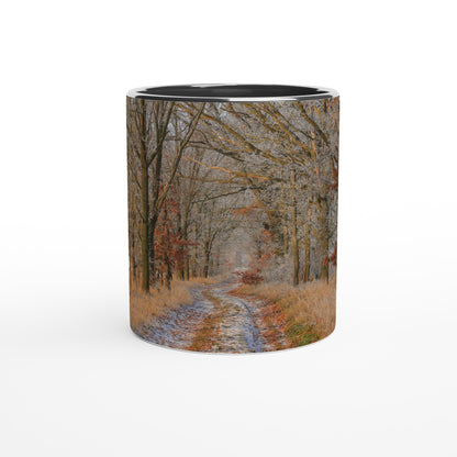 Frosted Woodland Path - Mug - JDivine 