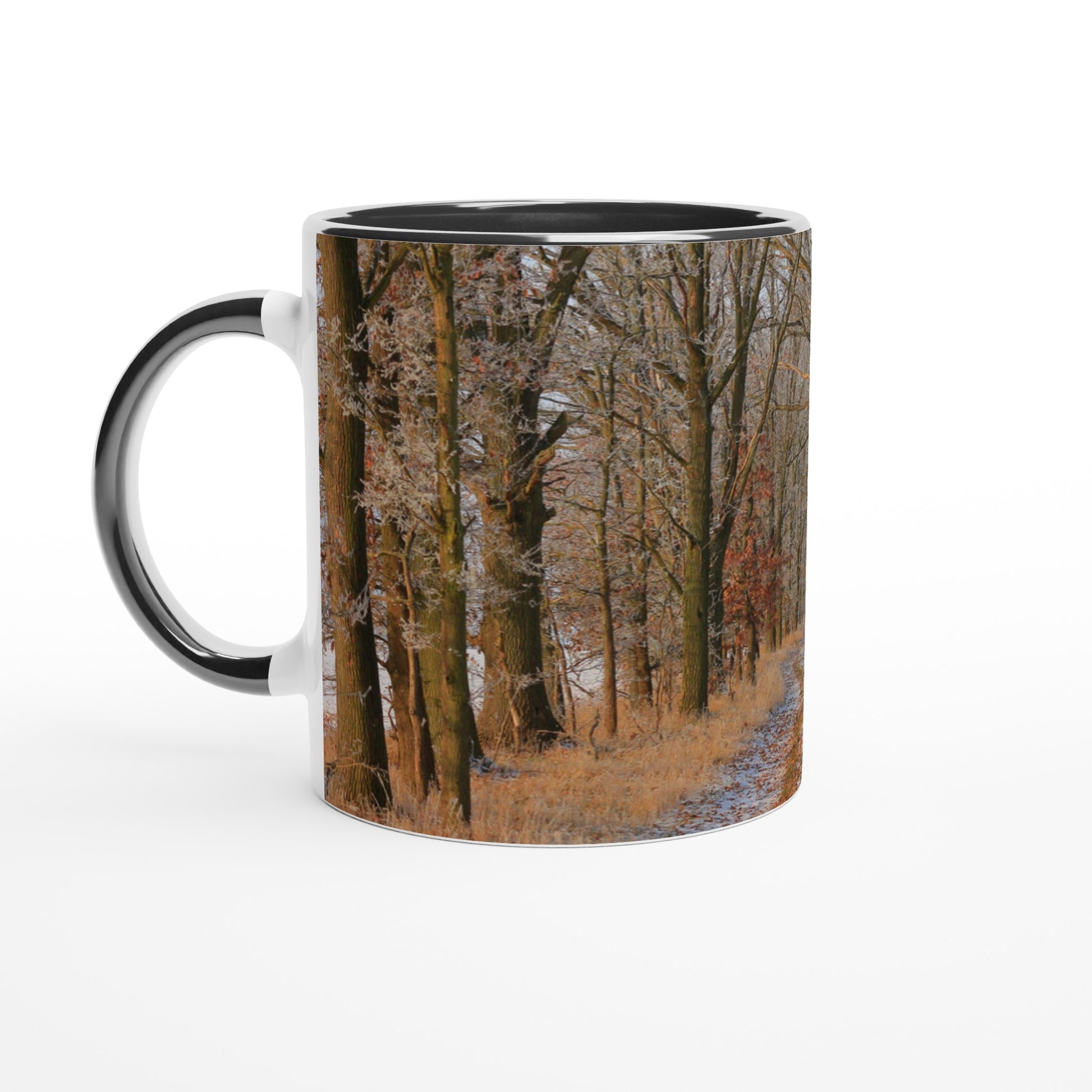 Frosted Woodland Path - Mug - JDivine 