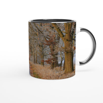 Frosted Woodland Path - Mug - JDivine 